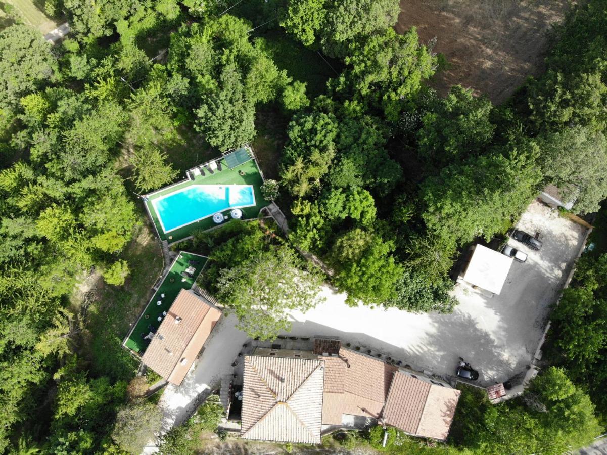 Вілла Agriturismo Il Noceto Ассізі Екстер'єр фото