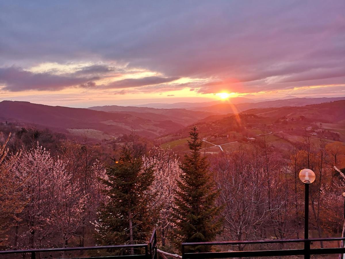 Вілла Agriturismo Il Noceto Ассізі Екстер'єр фото